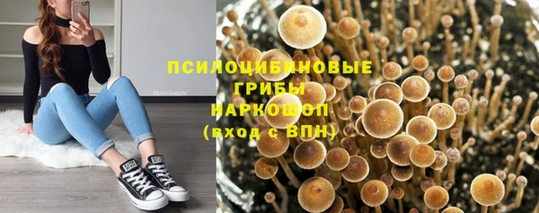 гашиш Абаза